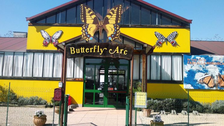 immagine punto di interesse Butterfly Arc – Casa delle Farfalle e Bosco delle Fate